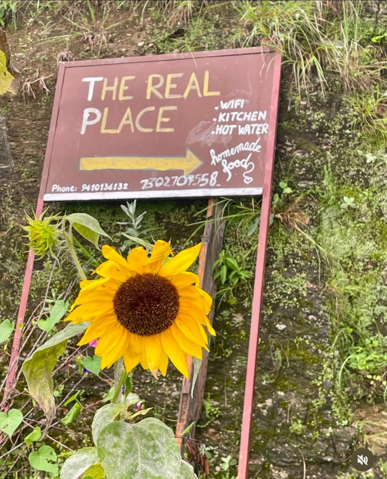 The Real Place アルモラ エクステリア 写真